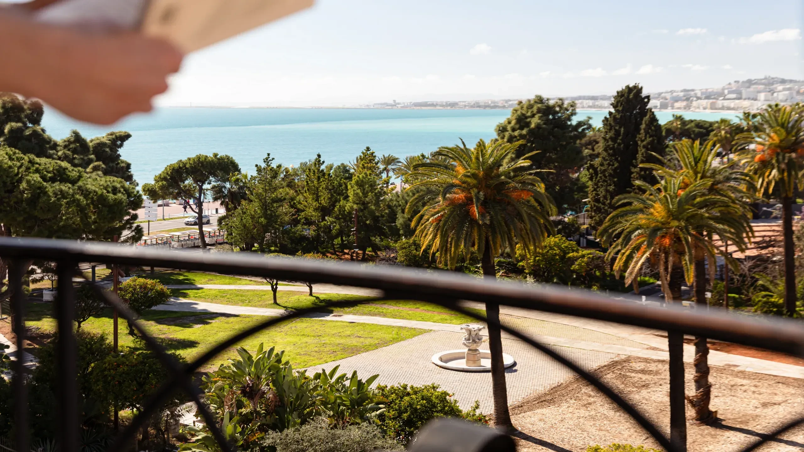 Vue sur parc et mer avec palmiers.